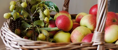 Lumskebugten